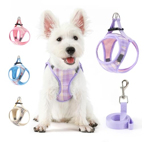 voopet Small Dog Harness and Leash Set Pet Puppy Cat Comfort Padded Soft Mesh Vest Step in No Pull No Choke Reflective Small Plaid Puppy Harness for Girl Dogs, Purple L