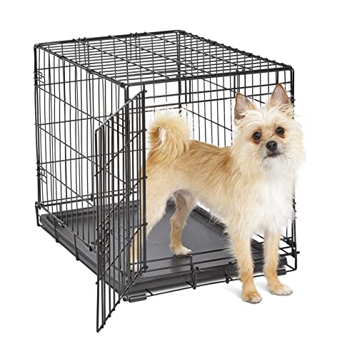 New World Pet Products Folding Metal Dog Crate; Single Door 24&quot;