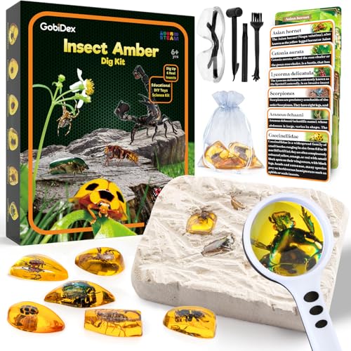 Amber Dig Kit-Artificial Insect Resin, Excavate 6 Insects Specimens, STEM Geographic Educational Bugs Toys, Excavation Toys Science Kit for Fun Bugs Party Favors, Bug Collection Kit for Kids Age 6+